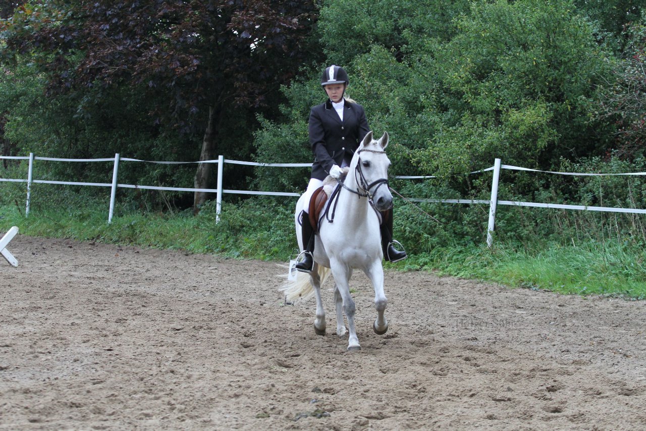 Bild 384 - WBO-Turnier am 18.9.11